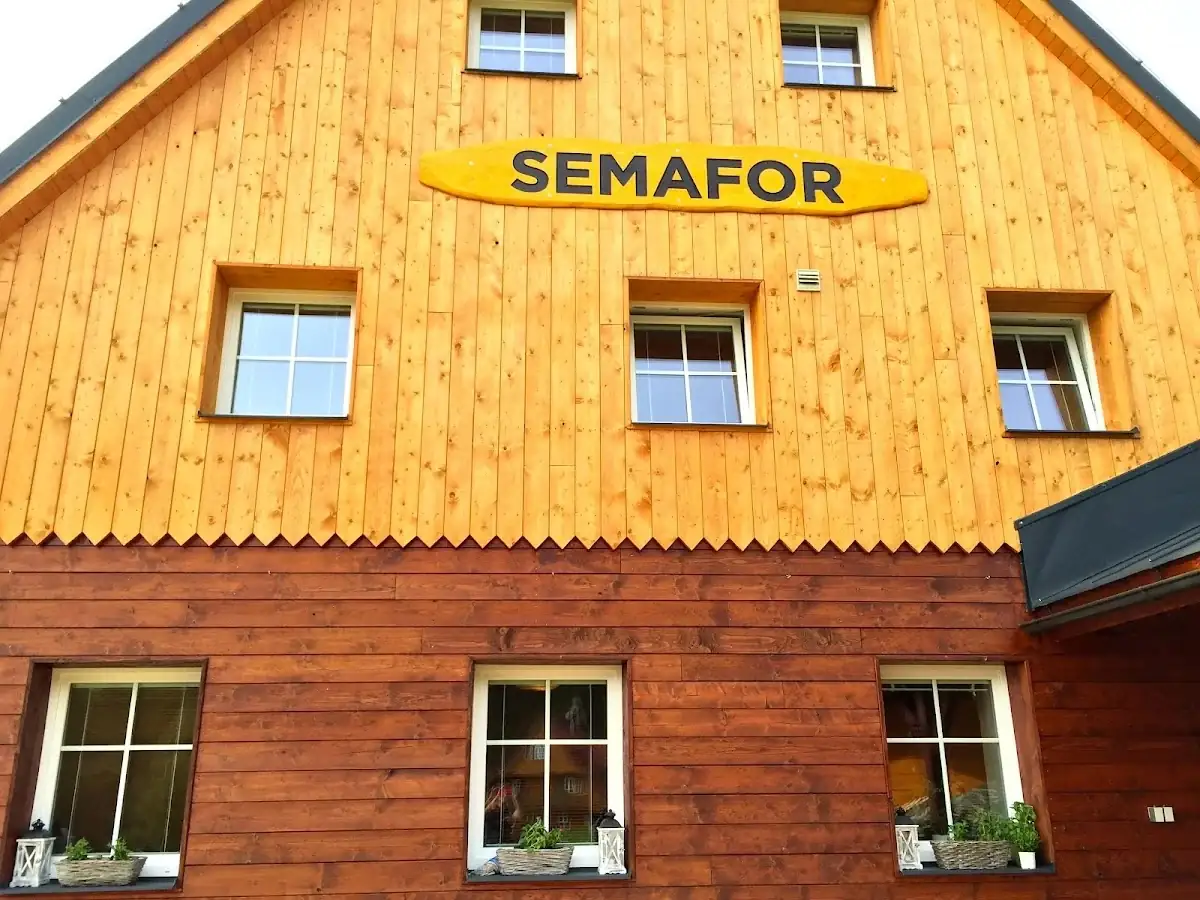 Leśna łąka w słońcu o świcie o wysokim standardzie pod słońcem.