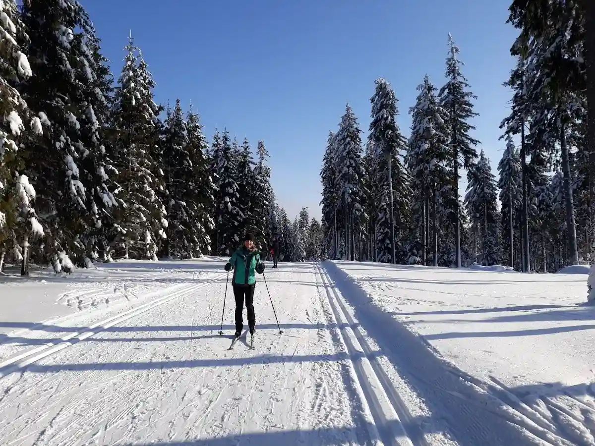 Szeroka i idealnie przygotowana trasa biegowa w Spalonej o świcie.