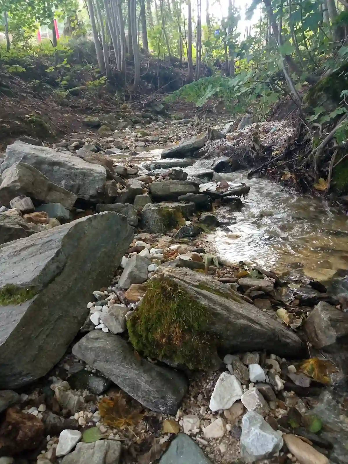 Nocne oświetlenie kurortu zimowego w Pisarzowicach pod niebem o świcie.