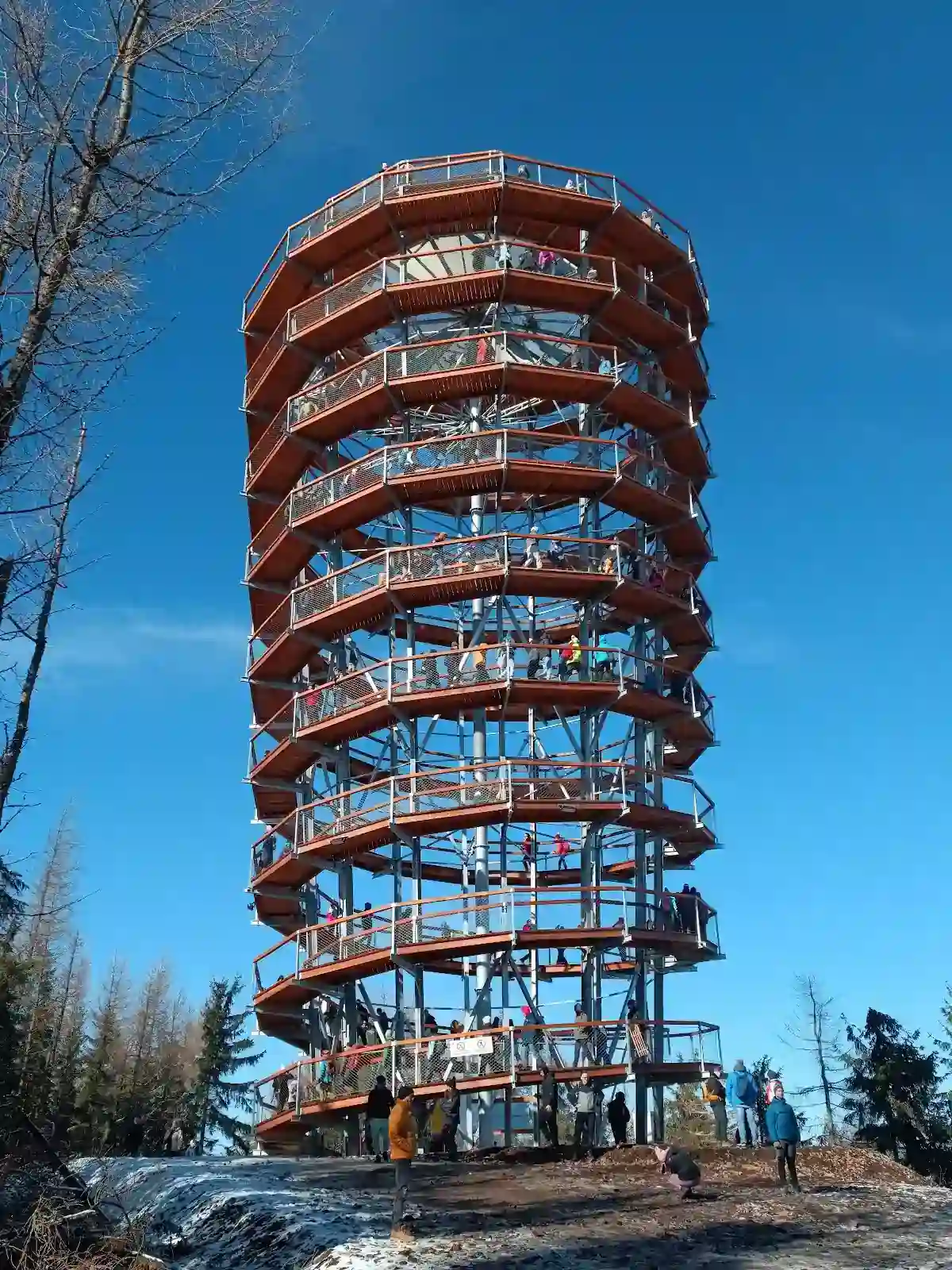 Widok z Dzikowca na ośnieżone lasy.