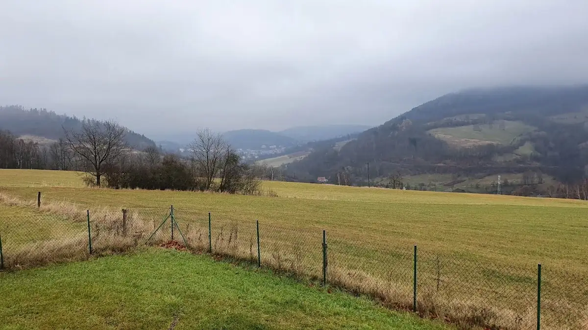 Zimowy widok z wiaty.