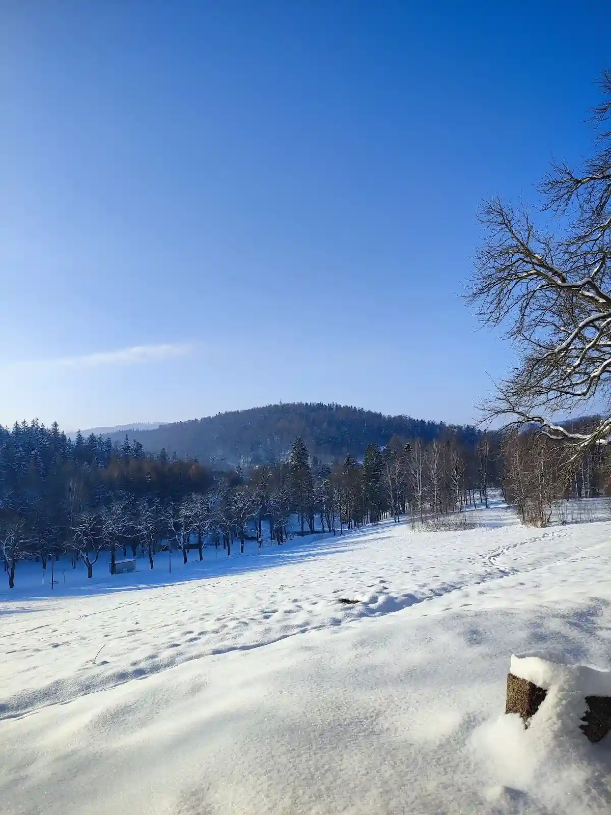 Nastrojowy amfiteatr z rzędami drewnianych ławek przed Muszlą.