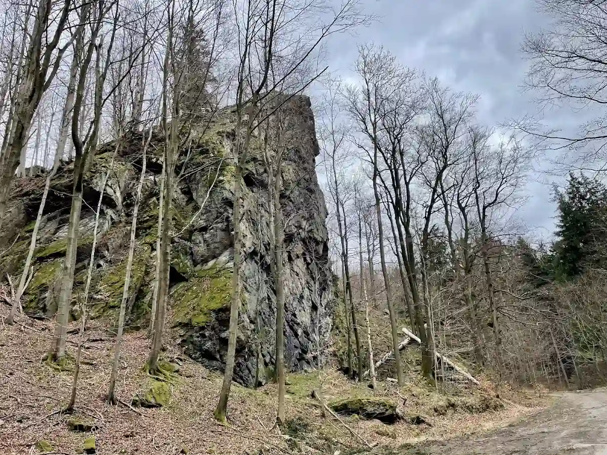 Pionowa ściana skalna porośnięta mchem i letnią roślinnością.