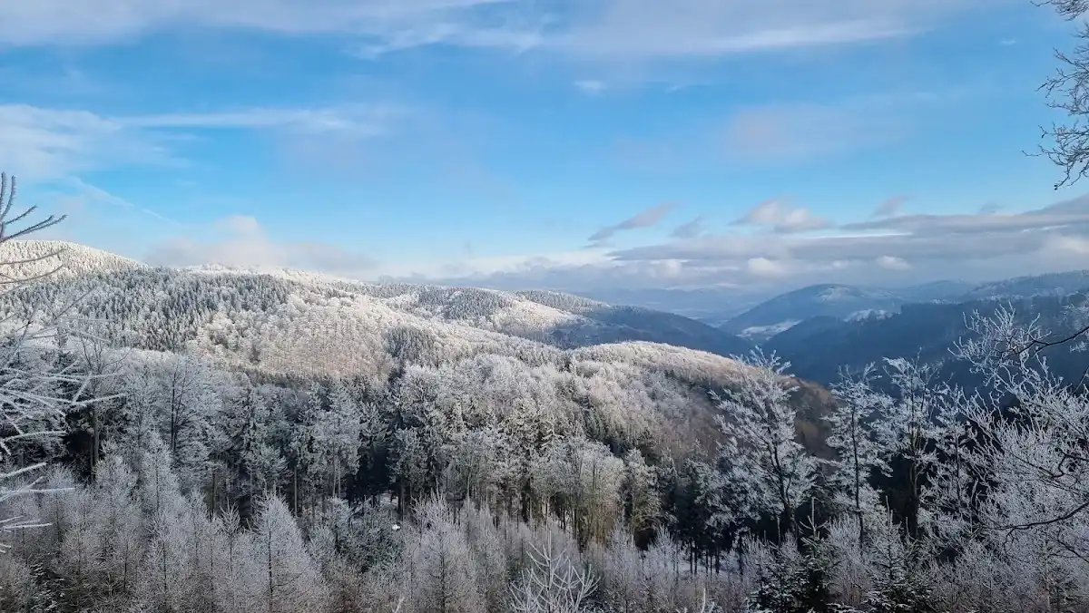 Wieża widokowa zimą na ośnieżonym szczycie Sudetów Wałbrzyskich.