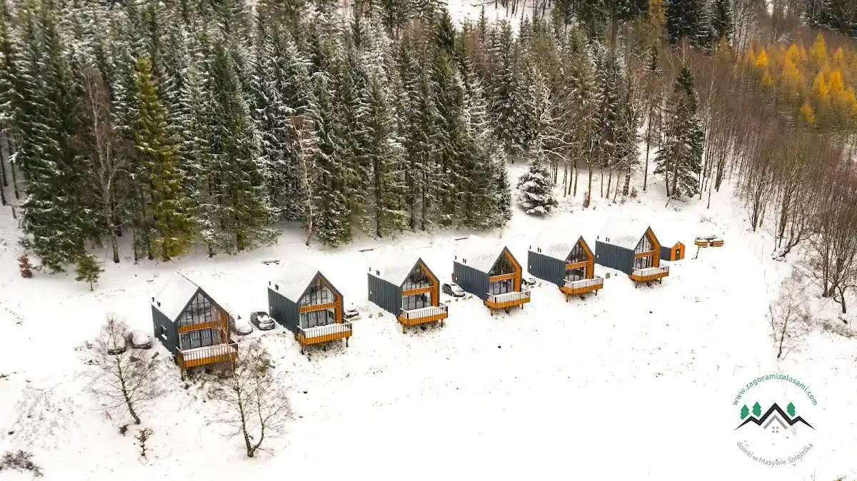 Kulig w zimowym lesie – suta dawka zimowych emocji.