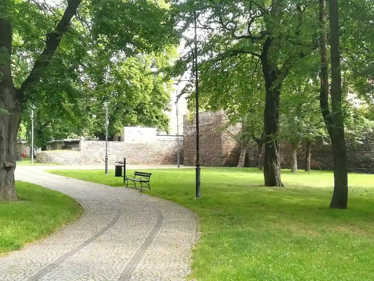 Zimowa aleja parkowa.