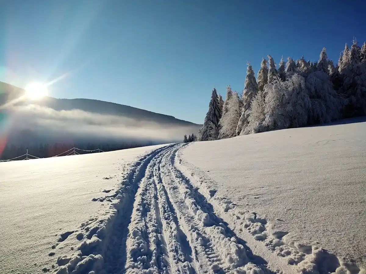 Historyczny słupek graniczny na ośnieżonym grzbiecie.