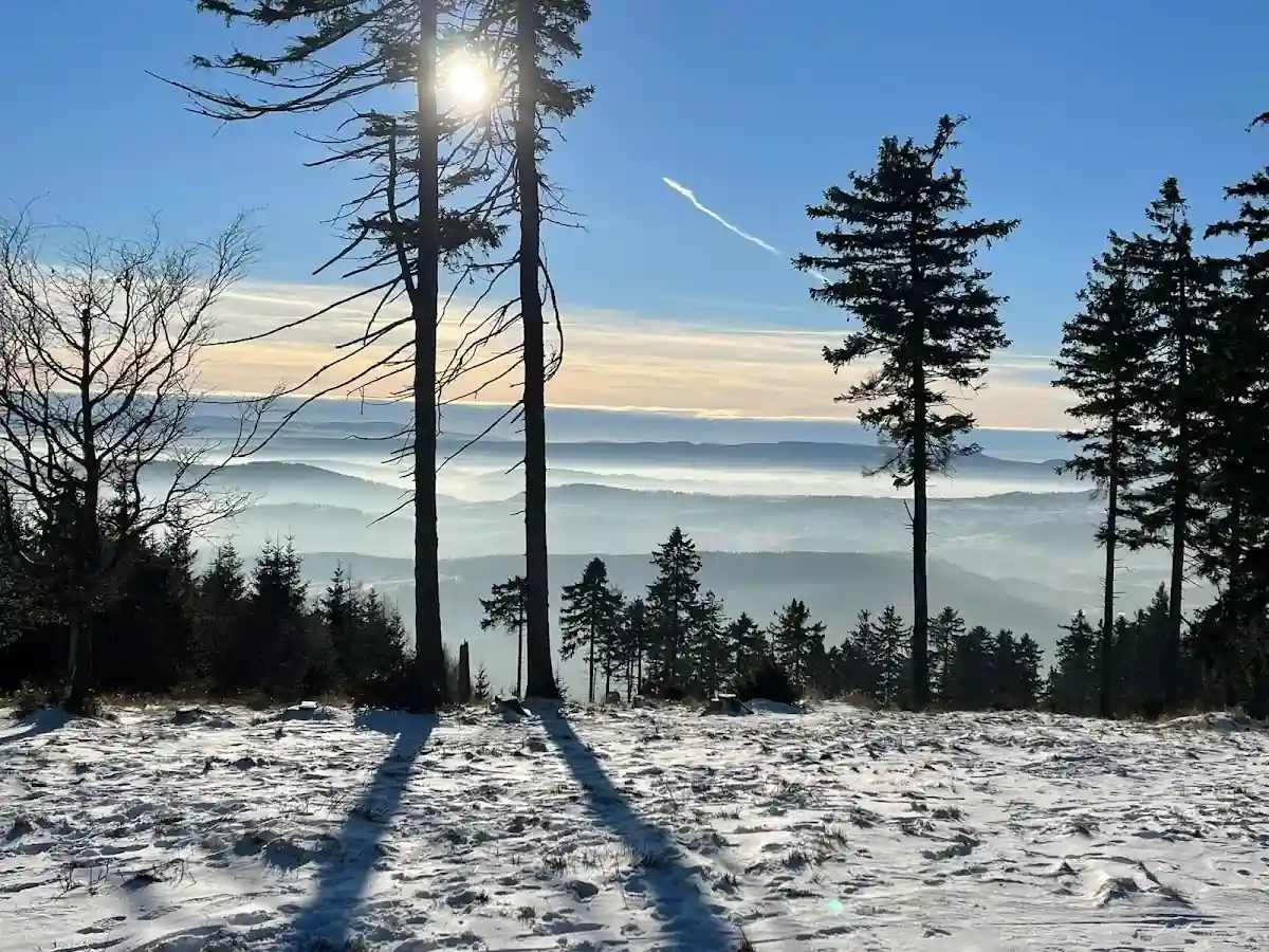 Narciarze biegowi na trasie.