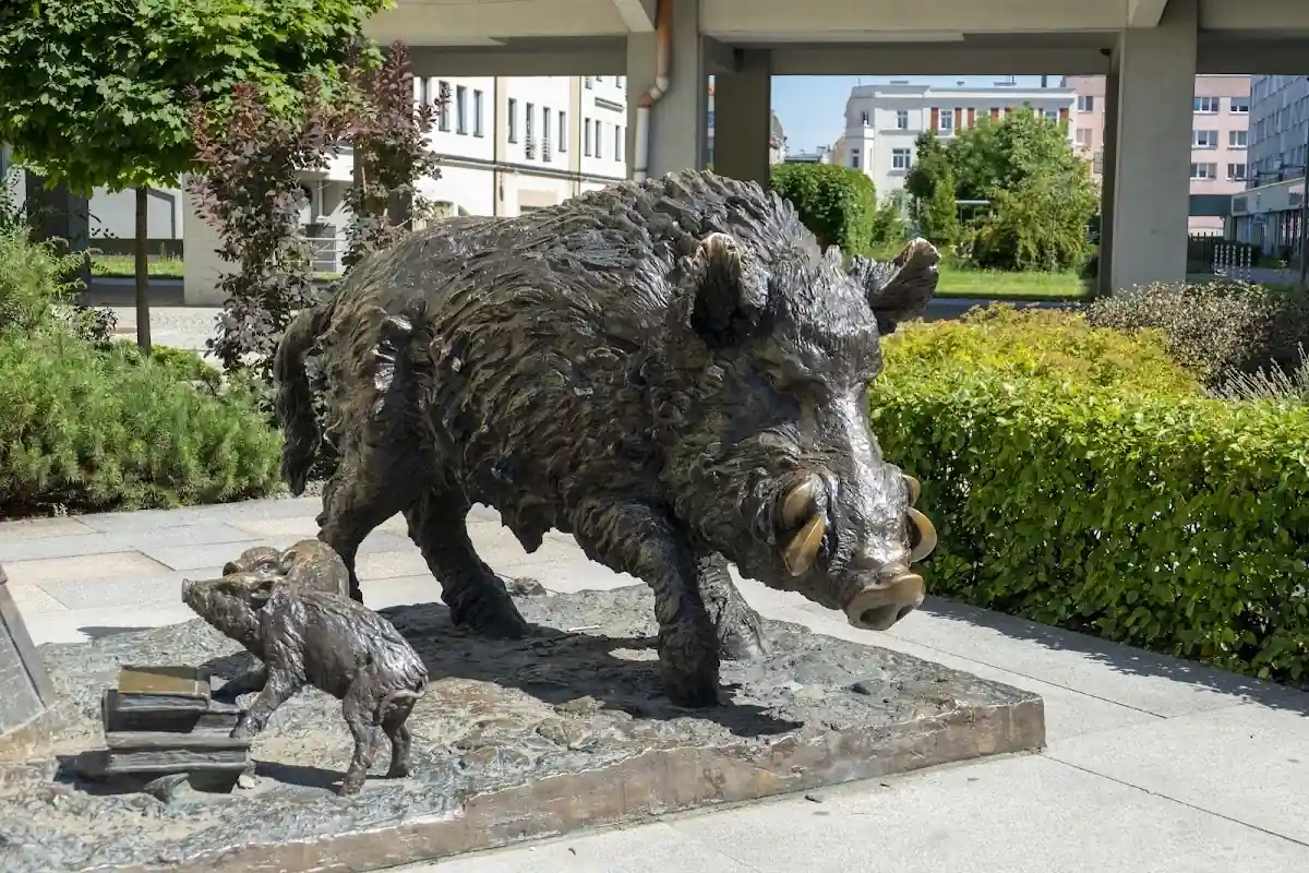 Dzik na postumencie.