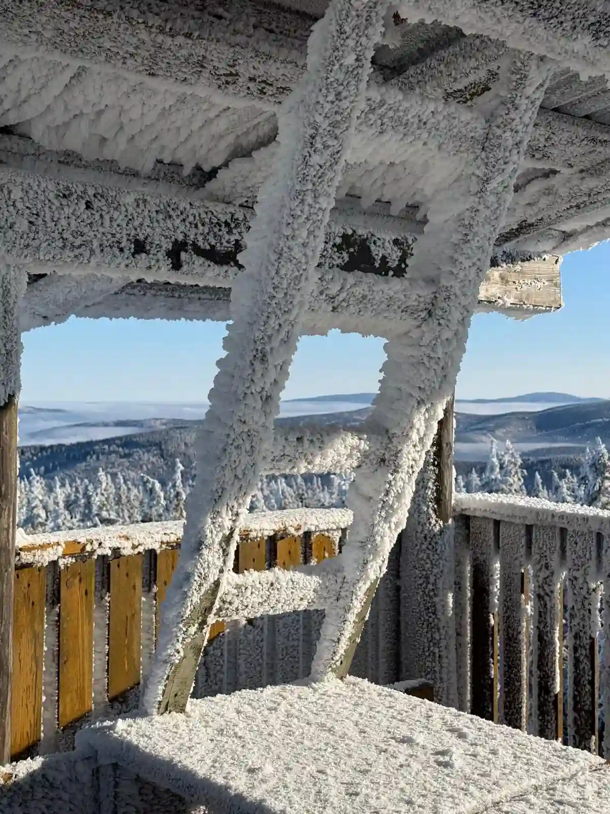 Zimowy las z perspektywy wieży na Czernicy – morze ośnieżonych drzew.