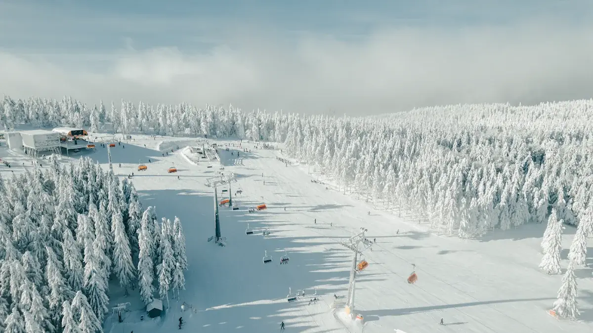 Zieleniec Sport Arena