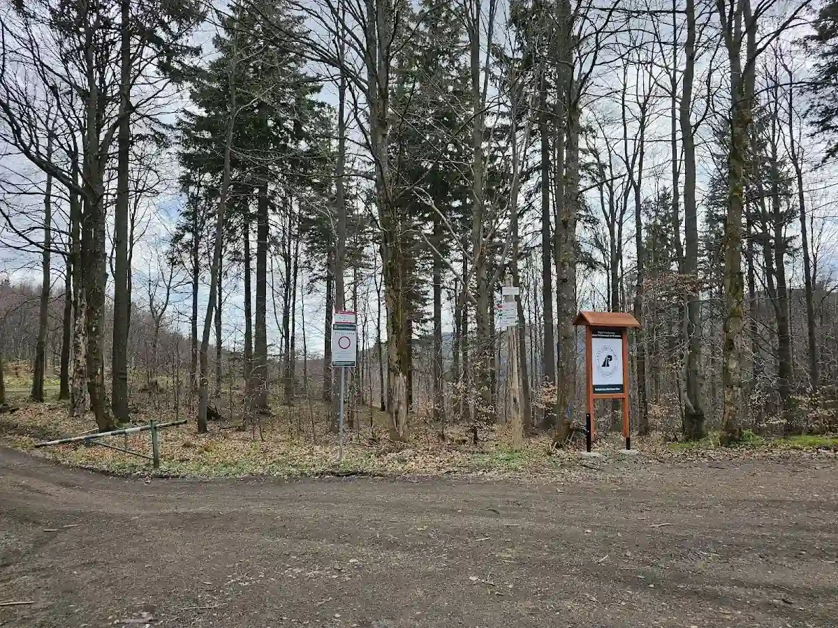 Zasypana śniegiem leśna droga prowadząca w stronę Rudaw Janowickich.
