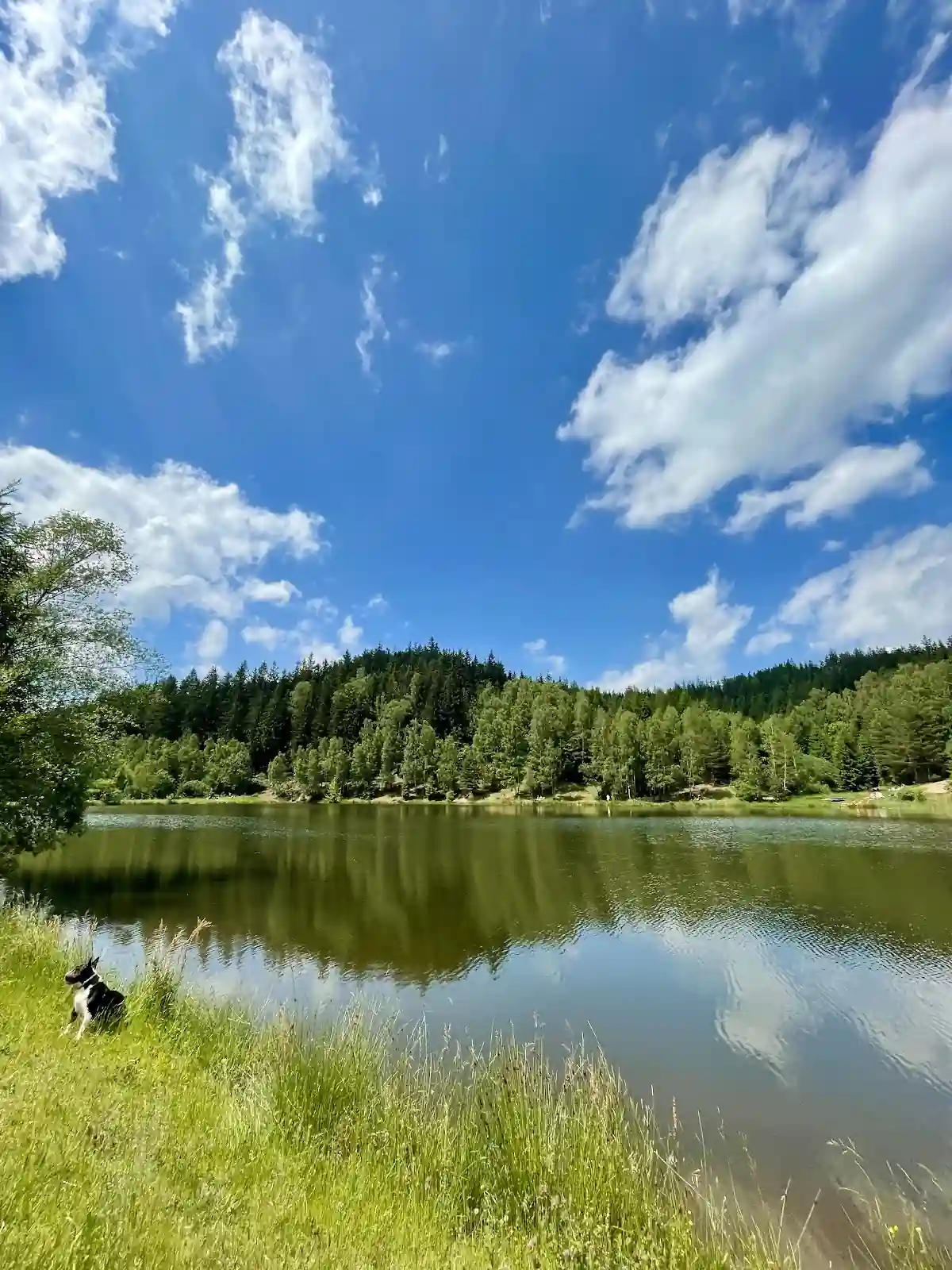 Stok narciarski na Dzikowcu przygotowany do zimowego szaleństwa.