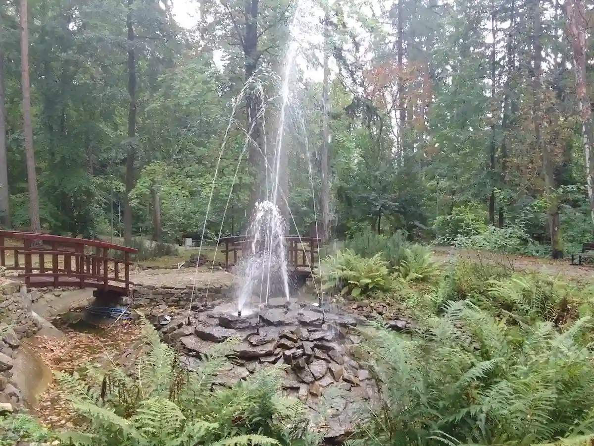 Rzeźba zwierzęcia (dzika) na nastrojowym głazie w lesie.