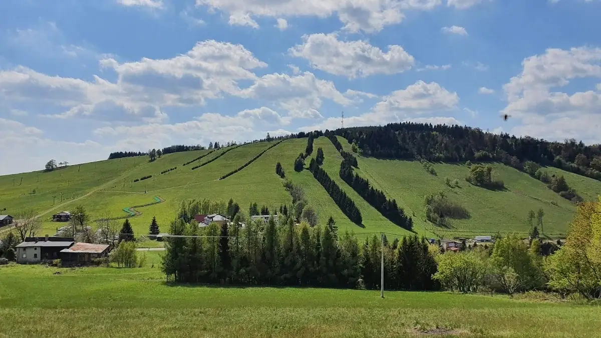 Zasypane śniegiem choinki wzdłuż trasy wyciągu w Rzeczce.