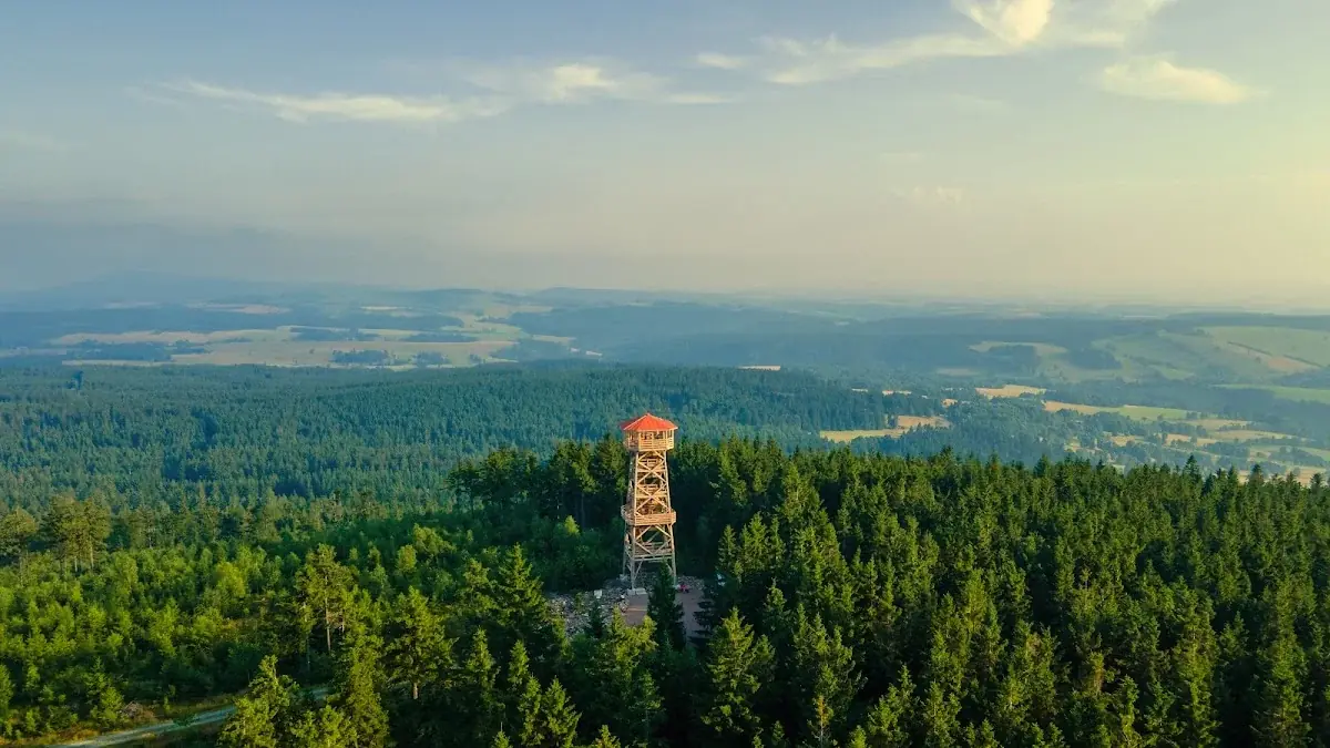 Drewniana wieża widokowa na Czerńcu w zimowej szacie, otoczona ośnieżonym lasem.