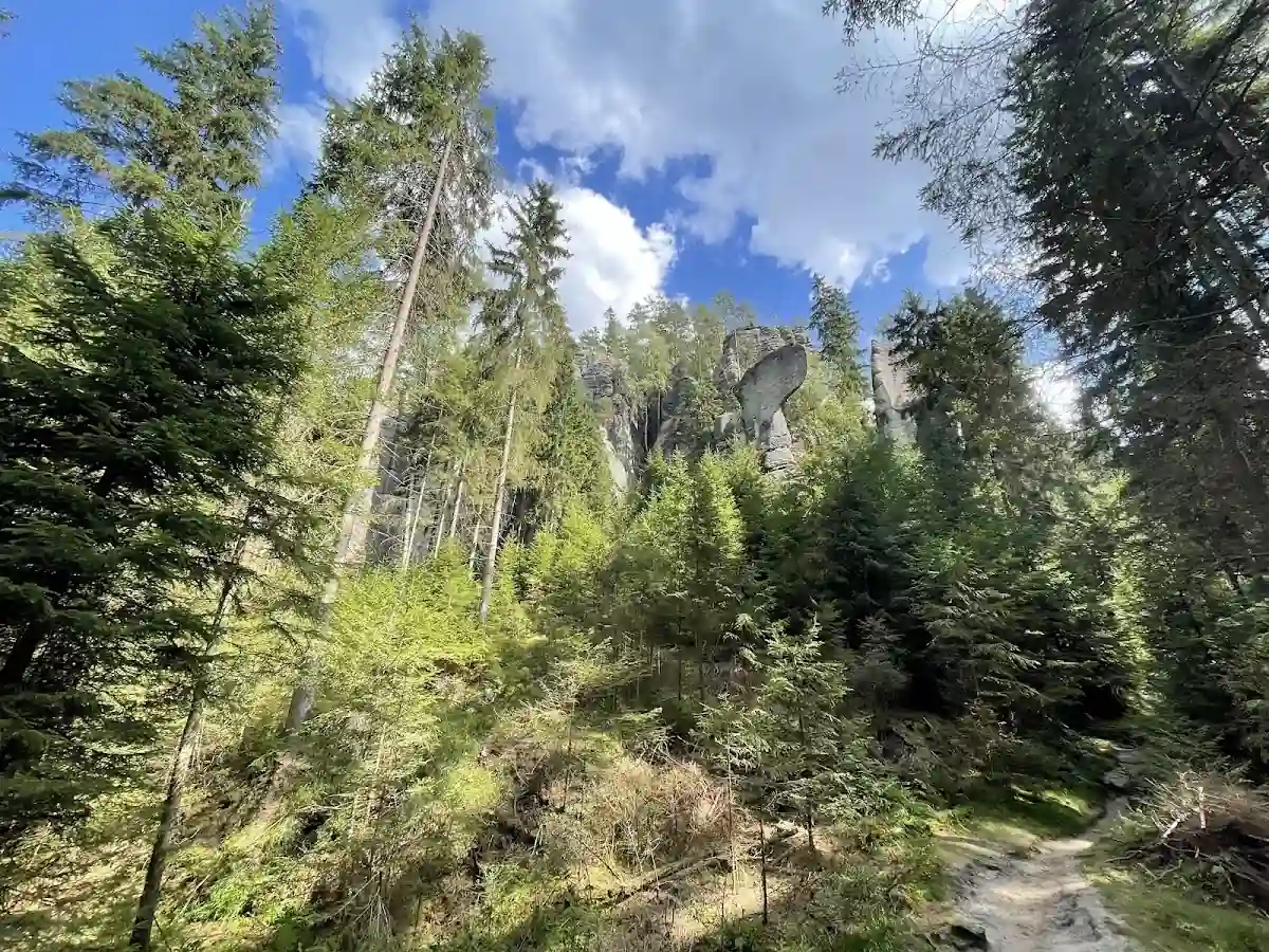 Zimowy wąwóz skalny.