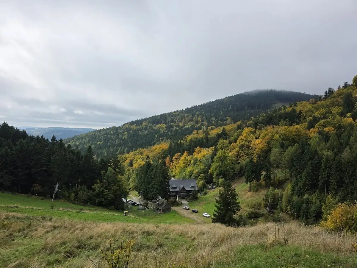 Panorama ośnieżonych pasm Gór Sowich pod błękitnym niebem.