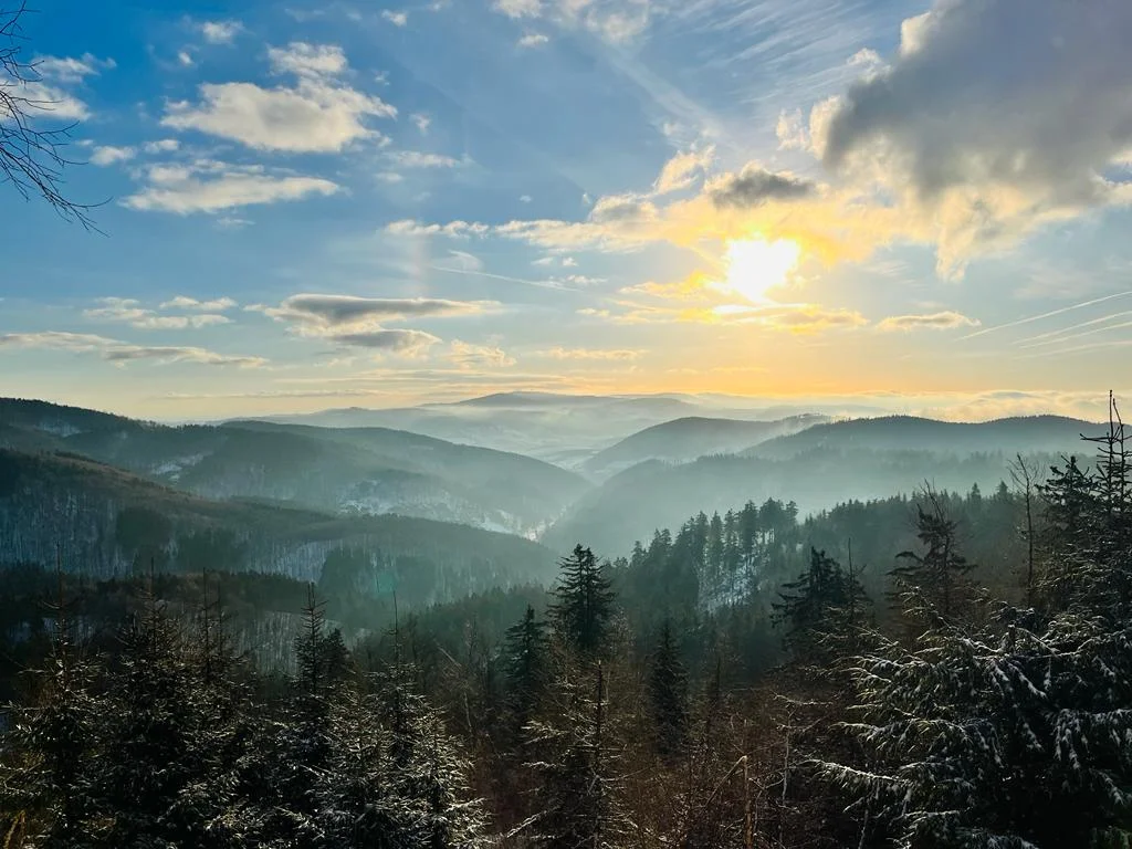 Zachód słońca nad górskimi szczytami porośniętymi lasem.