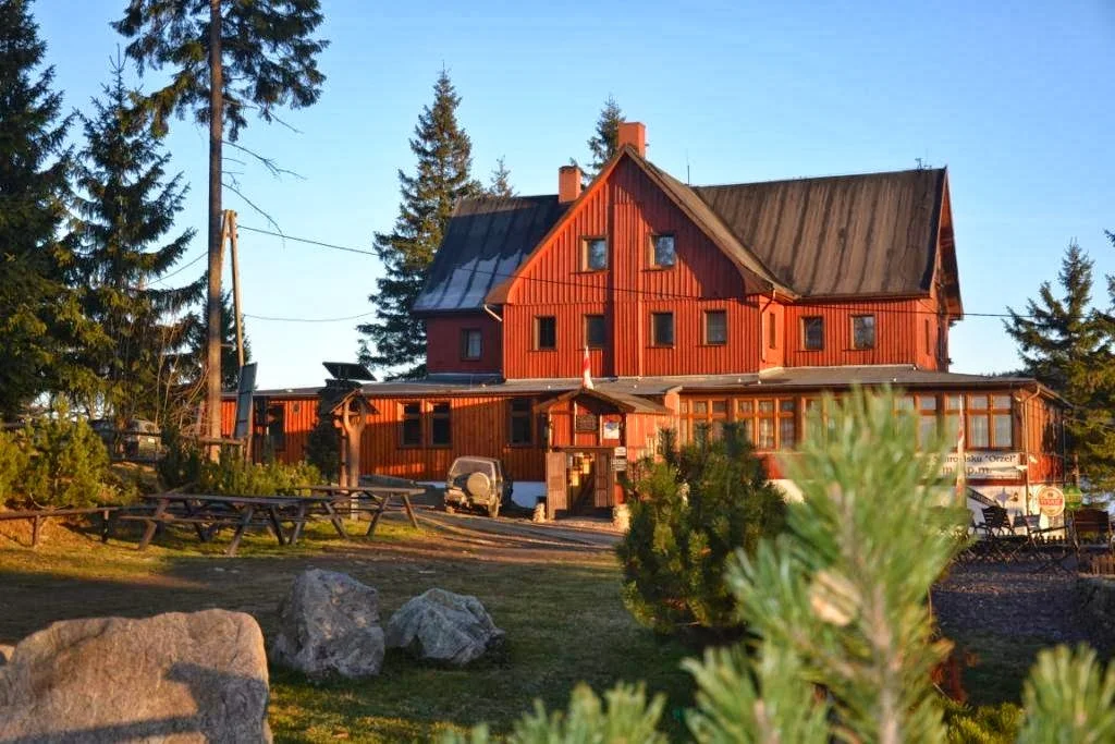 Drewniany dom w górach otoczony lasem.