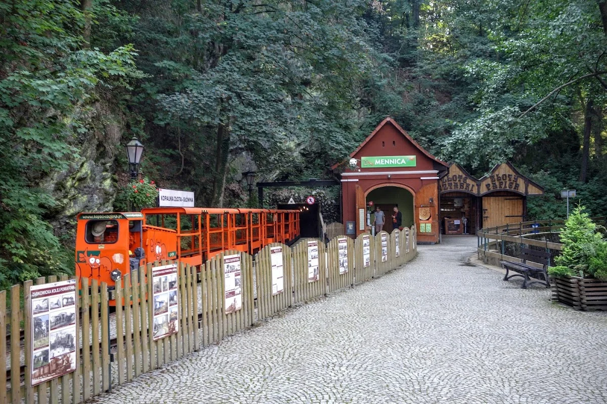 Oświetlony pociąg kopalniany w lesie o zmroku pod słońcem.