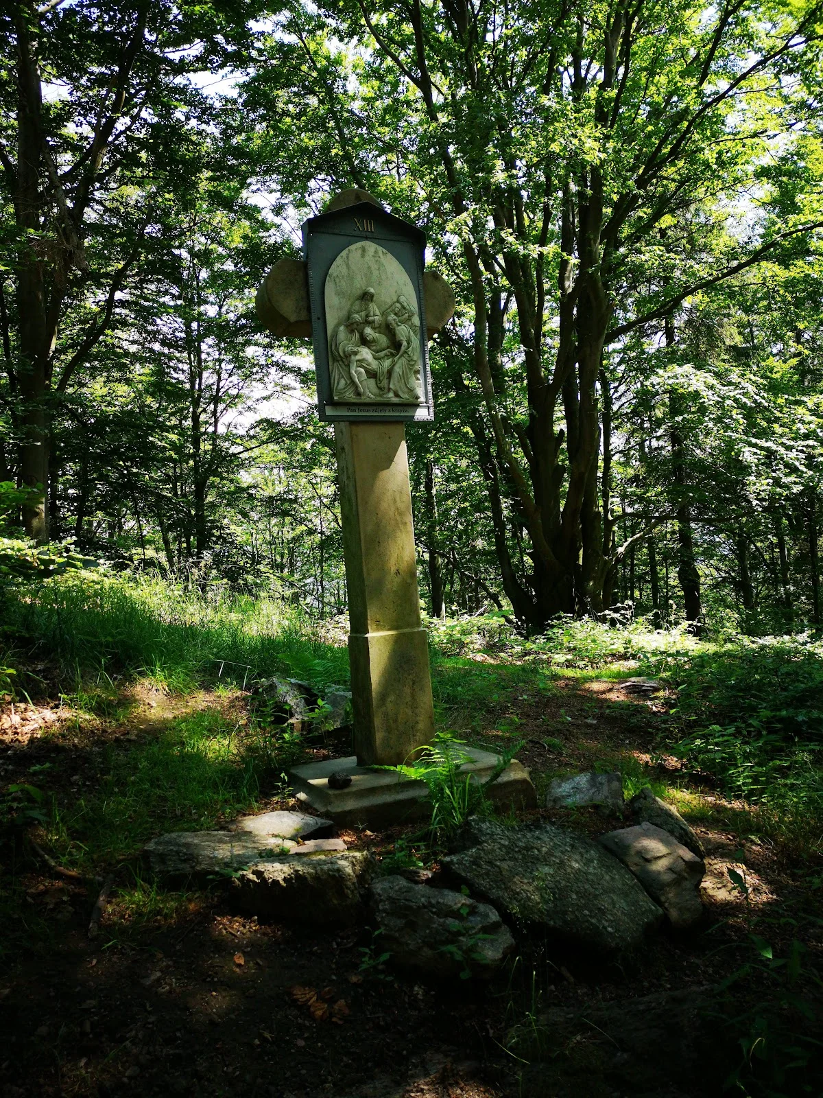 Rzeźba w gęstym lesie pod dębem o świcie pod słońcem w bieli.