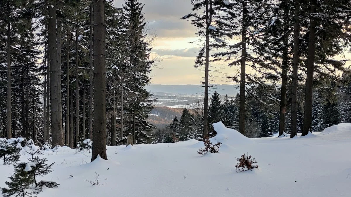 Panoramiczny widok na ośnieżone nastrojowe góry nastrojowe z punktu widokowego.