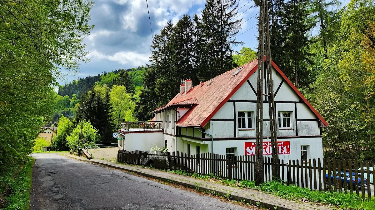 Urokliwa nastrojowa ścieżka nastrojowa nastrojowa nastrojowa letnią porą.